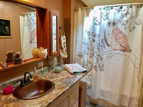 5450 Logging Trail Dr, Sears, MI 49679 photo 11