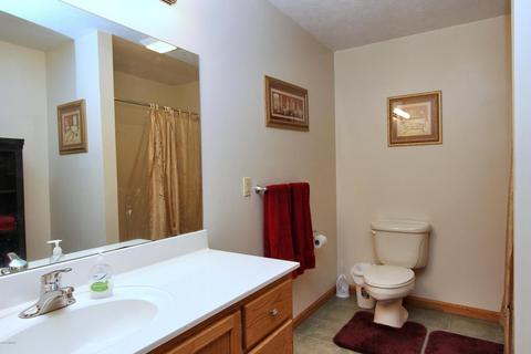 1345 Fifth St, Belding, MI 48809 photo 28