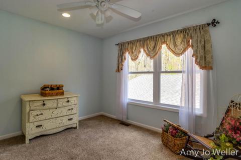 8734 W Stanton Rd, Stanton, MI 48888 photo 44