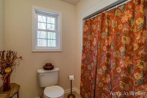 8734 W Stanton Rd, Stanton, MI 48888 photo 41
