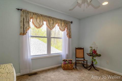 8734 W Stanton Rd, Stanton, MI 48888 photo 43