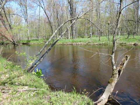 286 S Mcclelland Ave, White Cloud, MI 49349 photo 2