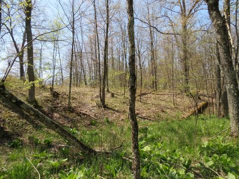 286 S Mcclelland Ave, White Cloud, MI 49349 photo 6