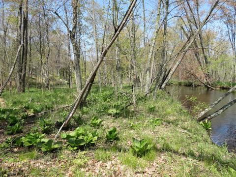 286 S Mcclelland Ave, White Cloud, MI 49349 photo 5