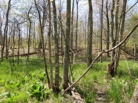286 S Mcclelland Ave, White Cloud, MI 49349 photo 9