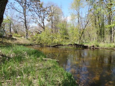 286 S Mcclelland Ave, White Cloud, MI 49349 photo 7