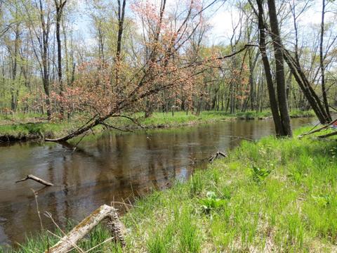 286 S Mcclelland Ave, White Cloud, MI 49349 photo 1