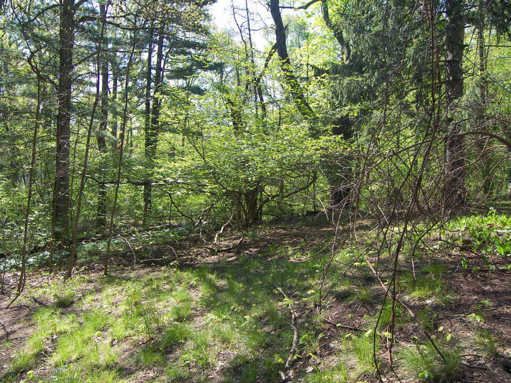7269 Spring Bnd, Harbert, MI 49115 photo 11