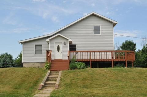 4400 Badger Rd, Lyons, MI 48851 photo 1
