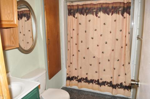 4400 Badger Rd, Lyons, MI 48851 photo 19