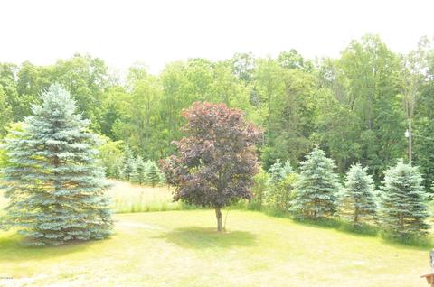 4400 Badger Rd, Lyons, MI 48851 photo 21