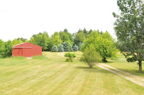4400 Badger Rd, Lyons, MI 48851 photo 20