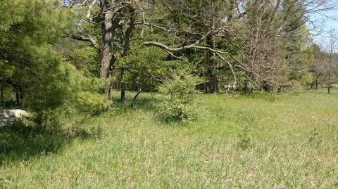 175 Th Ave, Big Rapids, MI 49307 photo 3
