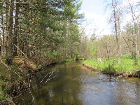 1237 W Lost Trl, Baldwin, MI 49304 photo 23