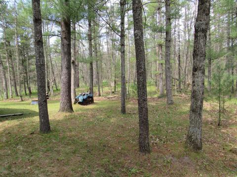 1237 W Lost Trl, Baldwin, MI 49304 photo 28