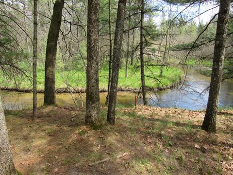 1237 W Lost Trl, Baldwin, MI 49304 photo 26