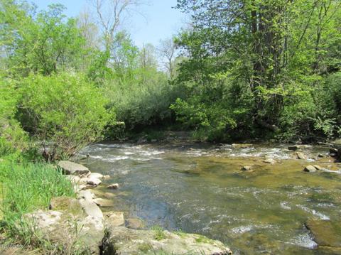 5056 Riverside Dr, Lyons, MI 48851 photo 7