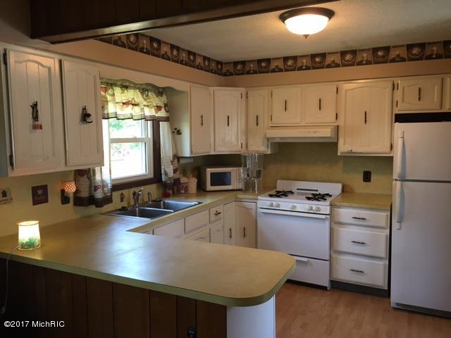 78 Parsonage St, Saranac, MI 48881 photo 8