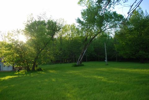 254 E Rose Rd, Coldwater, MI 49036 photo 7
