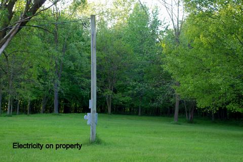 254 E Rose Rd, Coldwater, MI 49036 photo 9