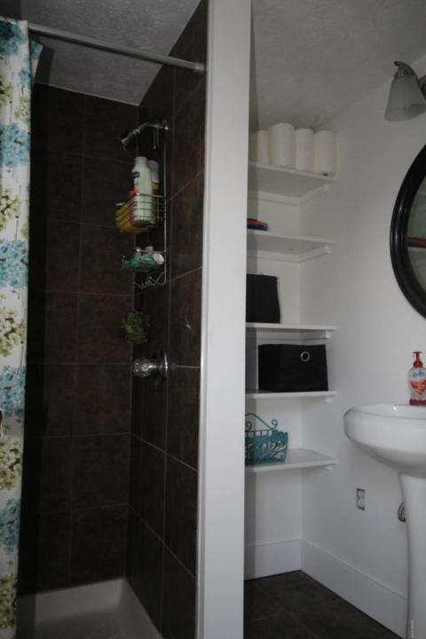 2950 Lakeside, Stanton, MI 48888 photo 20