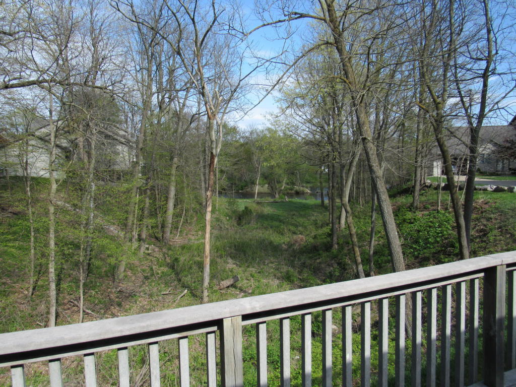 17948 River Bluff Dr, Big Rapids, MI 49307 photo 23