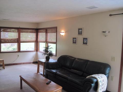 849 S Nicholas Ave, White Cloud, MI 49349 photo 9