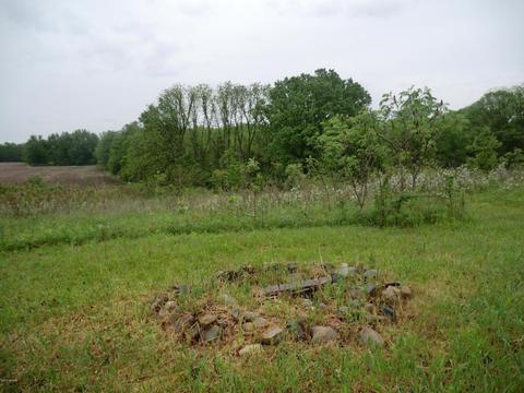 664 King Rd, Tekonsha, MI 49092 photo 23