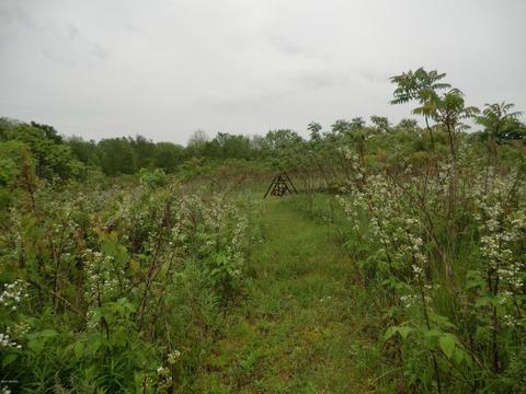 664 King Rd, Tekonsha, MI 49092 photo 22