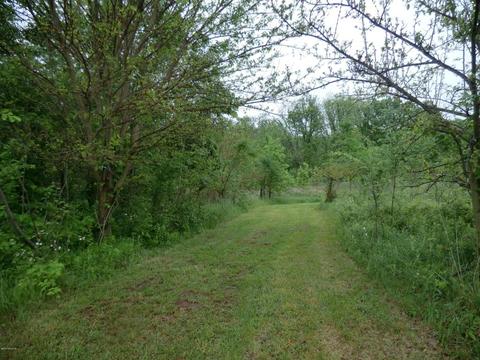 664 King Rd, Tekonsha, MI 49092 photo 21