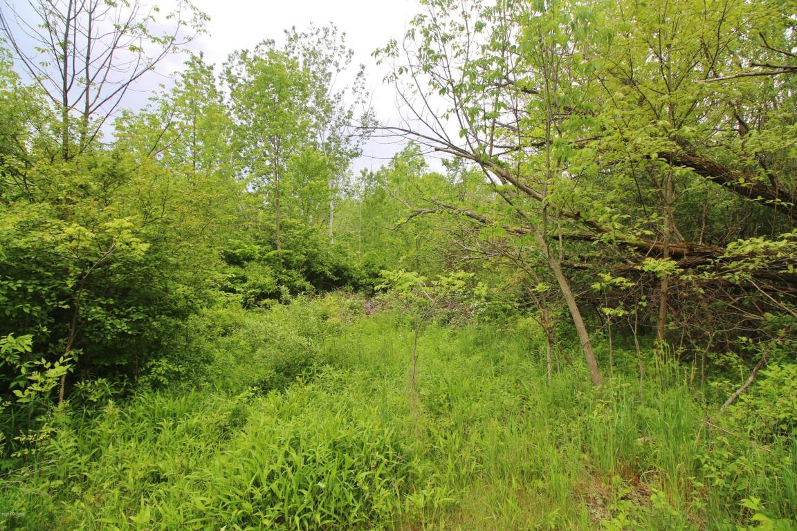 17536 Gardner Rd, Galien, MI 49113 photo 25