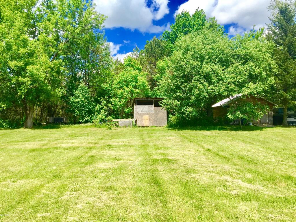 8162 W Willard Rd, Stanton, MI 48888 photo 30