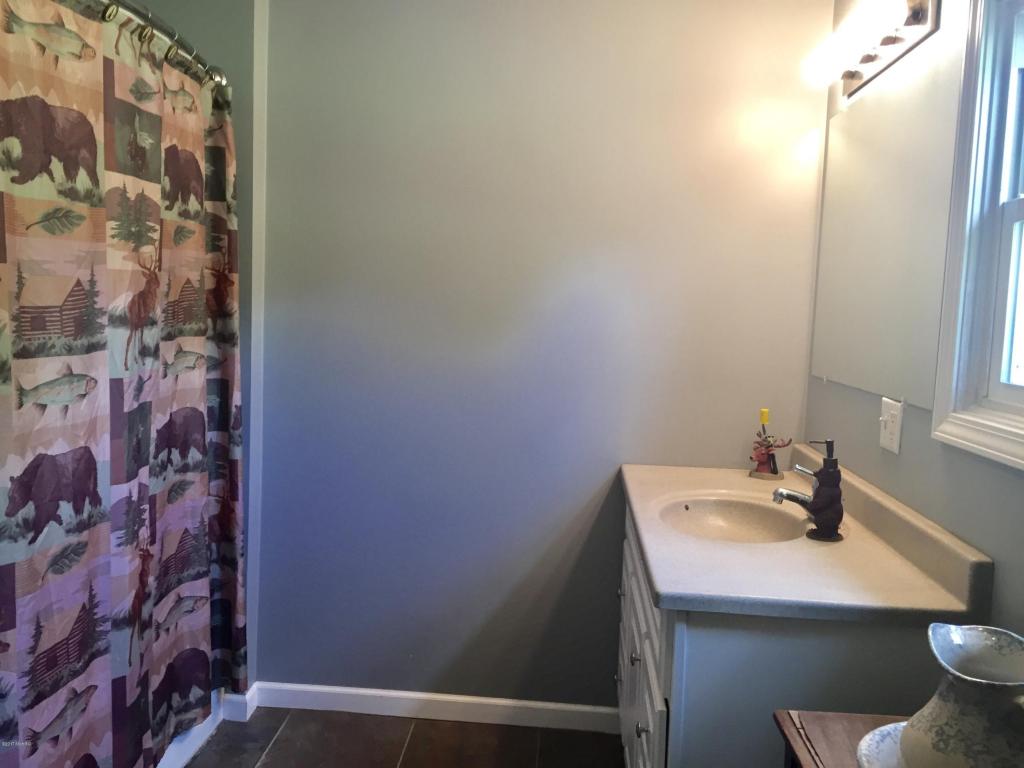 8162 W Willard Rd, Stanton, MI 48888 photo 18