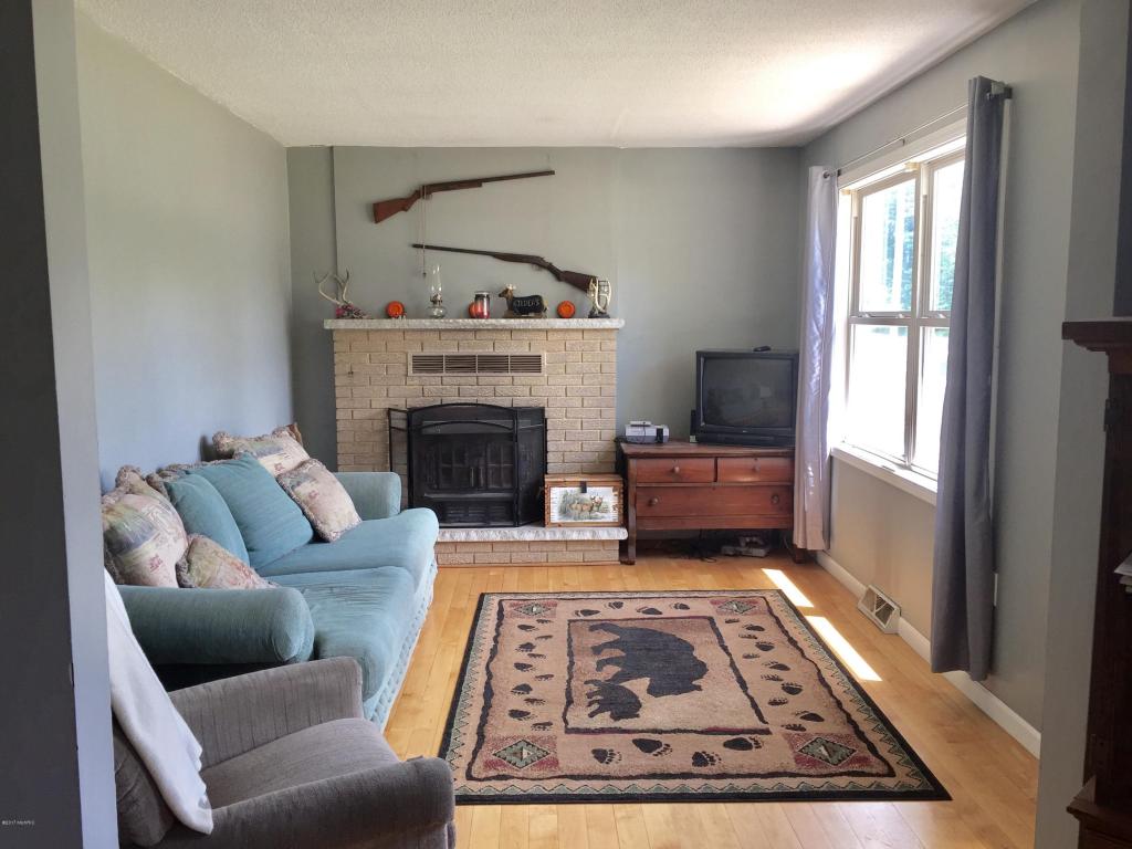 8162 W Willard Rd, Stanton, MI 48888 photo 13