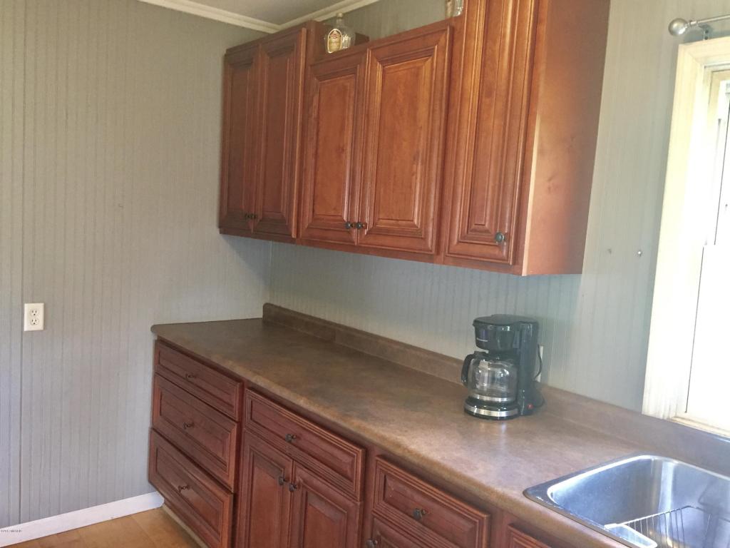 8162 W Willard Rd, Stanton, MI 48888 photo 11