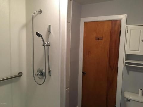 1036 Swain St, White Cloud, MI 49349 photo 20