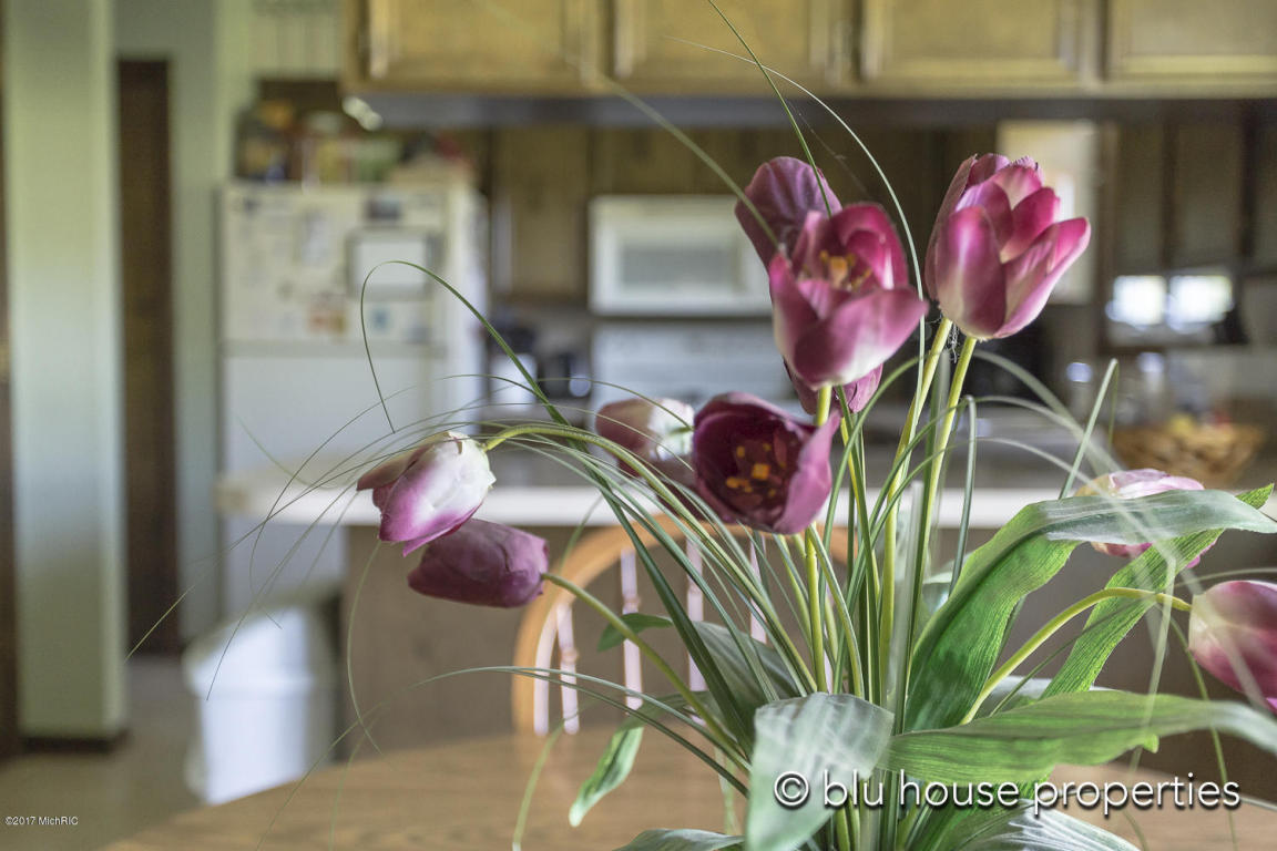 3003 Bauer Rd, Jenison, MI 49428 photo 8