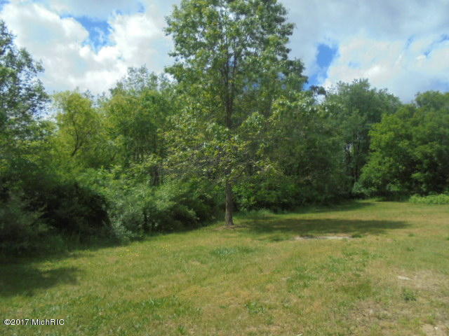 3982 E Bricker Rd, Fenwick, MI 48834 photo 13