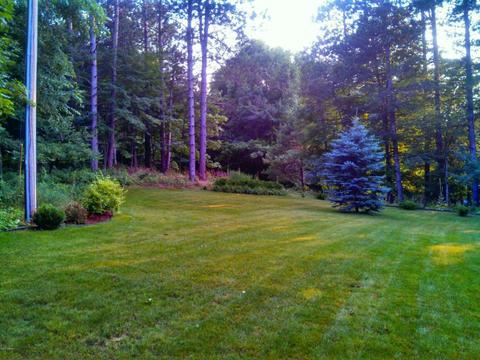 8160 Conservation St NE, Ada, MI 49301 photo 27