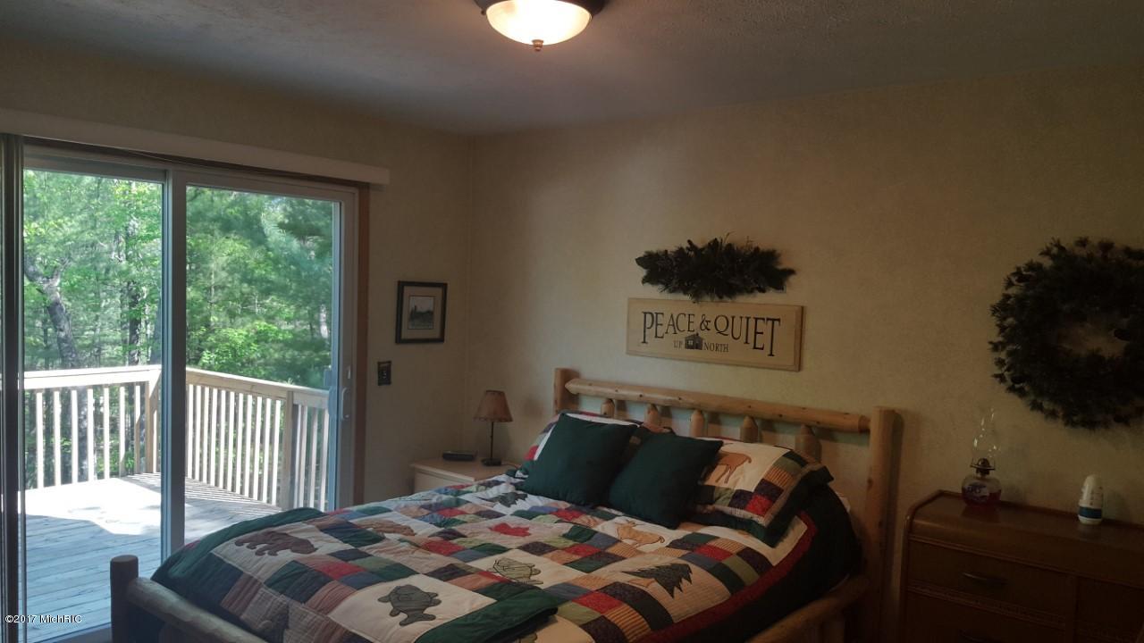 9054 S Truman, Baldwin, MI 49304 photo 10