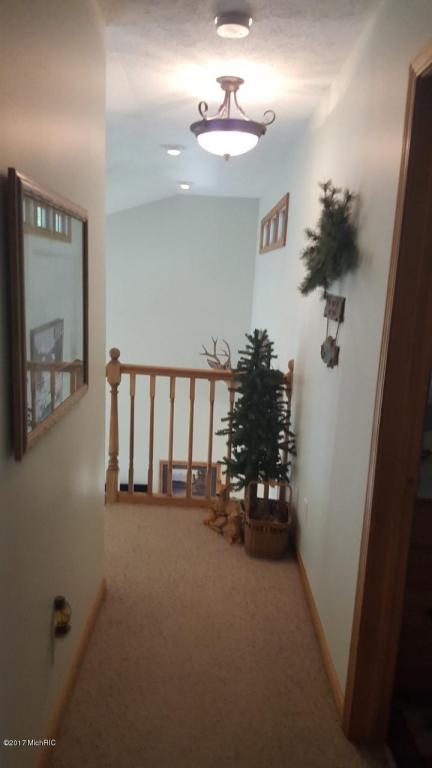 9054 S Truman, Baldwin, MI 49304 photo 9