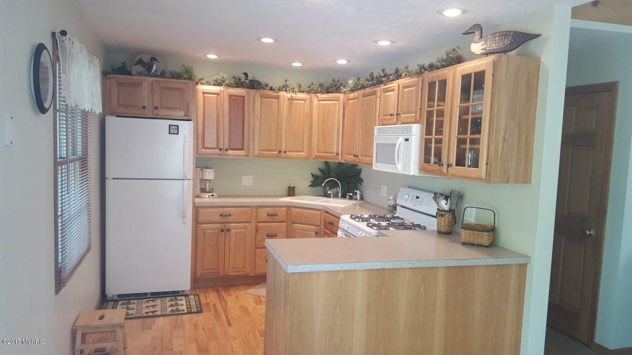 9054 S Truman, Baldwin, MI 49304 photo 2