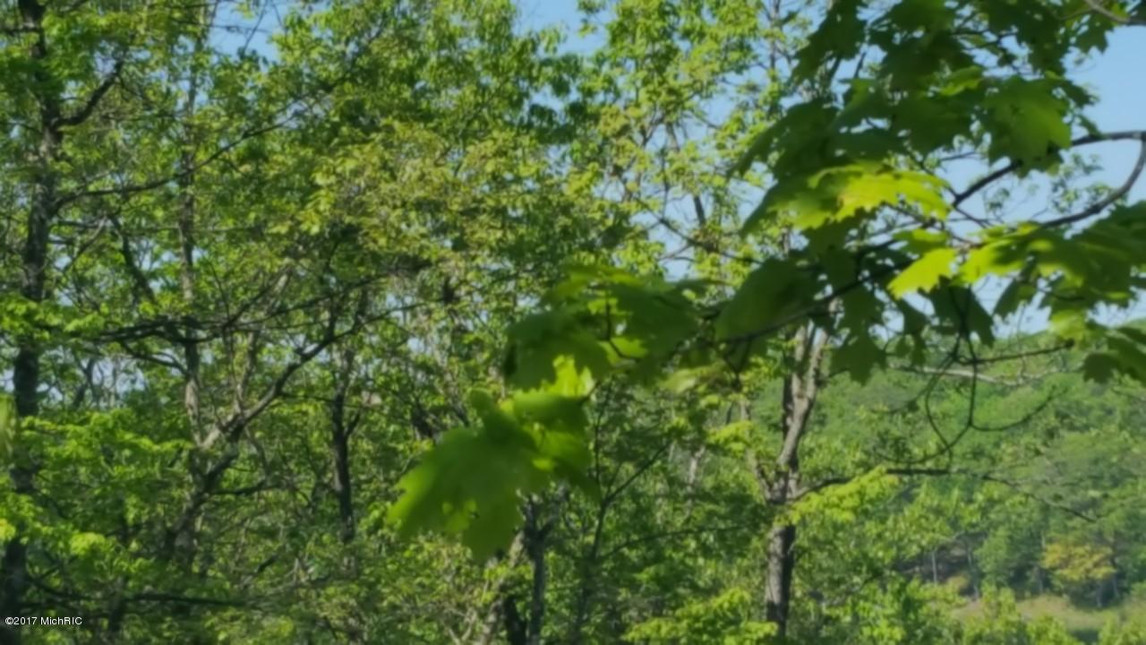 9054 S Truman, Baldwin, MI 49304 photo 25