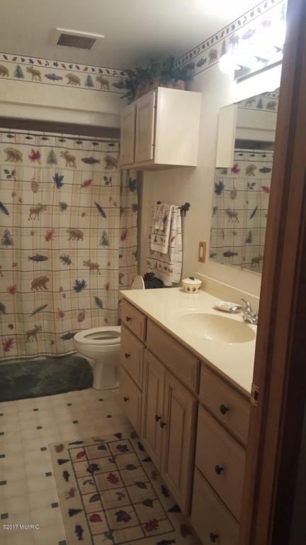 9054 S Truman, Baldwin, MI 49304 photo 11