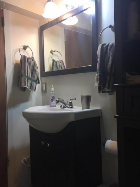 2977 Spring Grove Rd, Stanton, MI 48888 photo 15