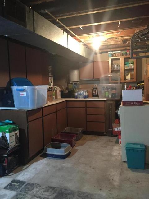 2977 Spring Grove Rd, Stanton, MI 48888 photo 17