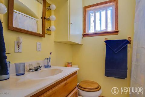320 E Pine St, Fremont, MI 49412 photo 32