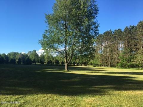 5005 175th Ave, Hersey, MI 49639 photo 50