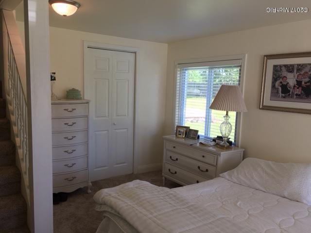 559 Richard Dr, Crystal, MI 48818 photo 11