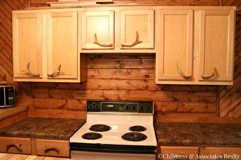 8413 E Baseline Rd, White Cloud, MI 49349 photo 8